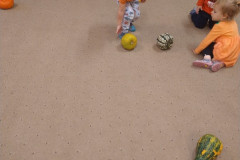 IMG_20231020_092609269_copy_600x800