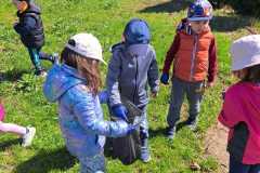 IMG-20230504-WA0010