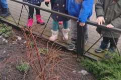 IMG-20230329-WA0000