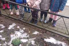IMG-20230329-WA0003