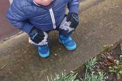 IMG-20230329-WA0004
