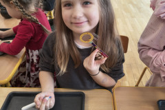 IMG_20251128_090432177_HDR_copy_1536x2048