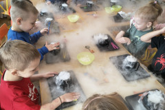 IMG_20251128_091644045_HDR_copy_1536x2048