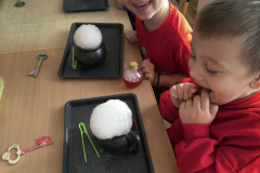 IMG_20251128_091813756_HDR_copy_1536x2048