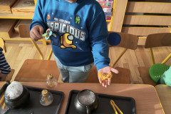 IMG_20251128_093730767_HDR_copy_1536x2048