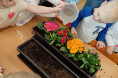 IMG-20260327-WA0004_copy_600x800