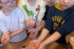 IMG-20260328-WA0007_copy_768x1024