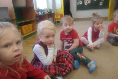 IMG_20231206_085927478_copy_800x600