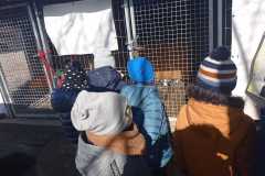 IMG-20230328-WA0023