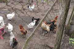 IMG-20230505-WA0000