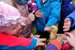 IMG-20230505-WA0002