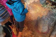 IMG-20230505-WA0004