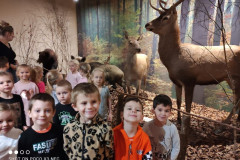 IMG-20231127-WA0000_copy_800x600