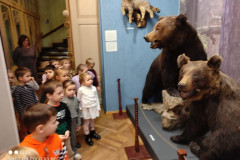 IMG-20231127-WA0002_copy_800x600