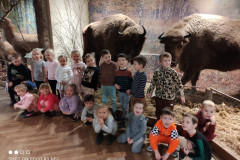 IMG-20231127-WA0003_copy_800x600