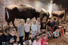 IMG-20231127-WA0004_copy_800x600