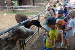 IMG-20230628-WA0013