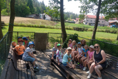 IMG_20230619_103232131_HDR