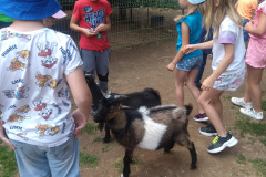 IMG_20230619_113431819